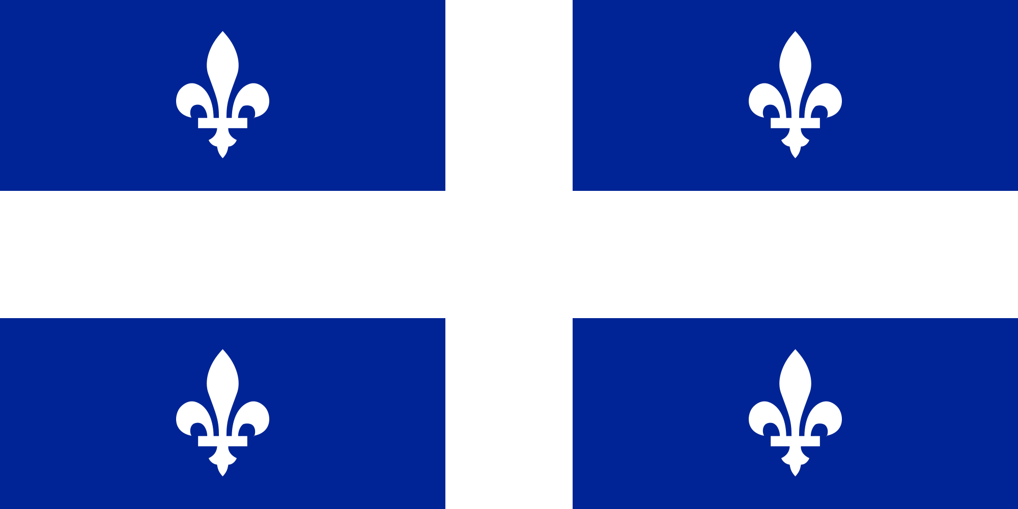 Important new legal obligations for Quebec businesses